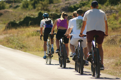Hvar Island E-Bike Tour with Wine Tasting and Starters Hvar: Self-Guided Bike Tour with Wine Tasting and Starters