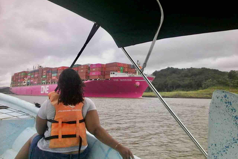 Panamá: Excursión a la Isla de los Monos, el Santuario de los Perezosos y el Lago Gatún