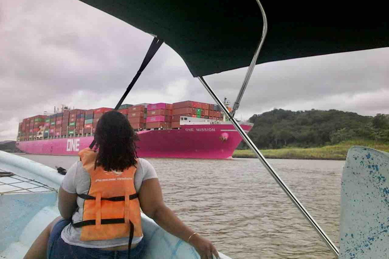 Panamá: Excursión a la Isla de los Monos, el Santuario de los Perezosos y el Lago Gatún
