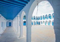 Tour di mezza giornata nell'isola di Djerba con incontro di coccodrillo - Hizvo