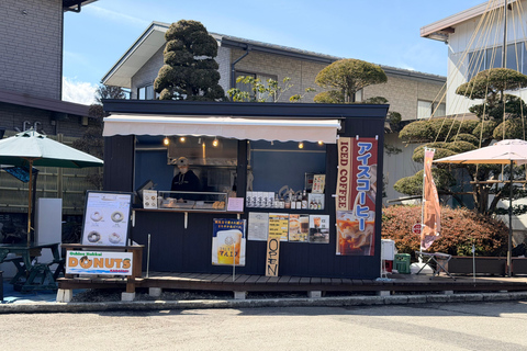 Tokyo: Private Daytrip to Mount Fuji - Fully Customizable Mt Fuji Private Luxury Van Tour (Customizable Experience)
