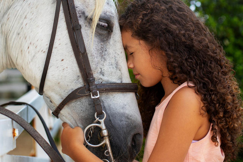 Montego Bay: Private Horseback Ride & Swim + Transport
