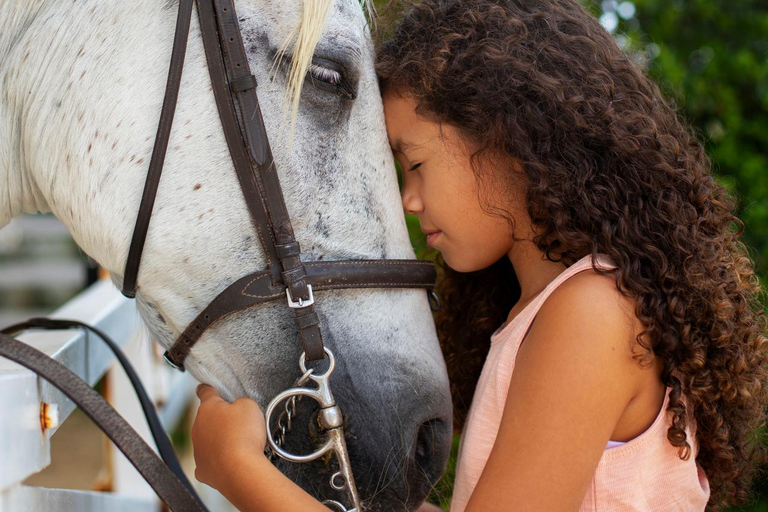 Montego Bay: Private Horseback Ride & Swim + Transport