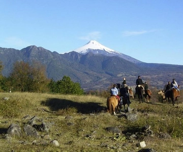 Pucon: Horseback Riding Tour with Waterfall Stop
