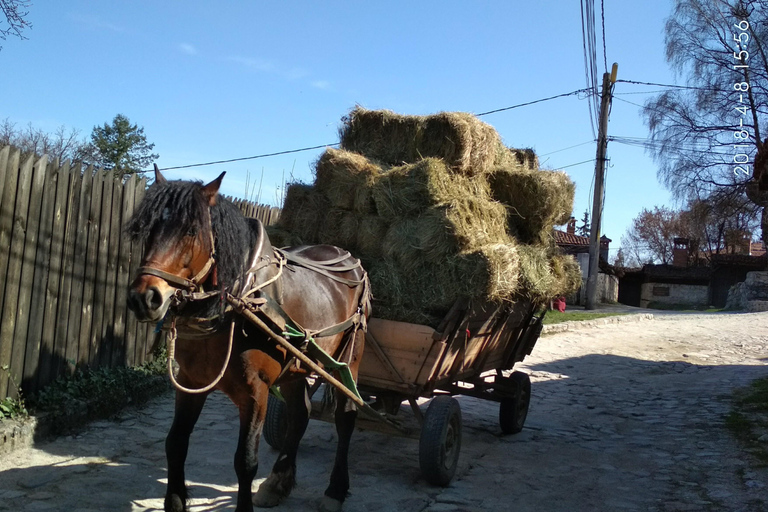 From Sofia: Koprivshtitsa, Starosel, and Wine Tasting Tour Koprivshtitsa, Starosel, and Wine Tasting Tour