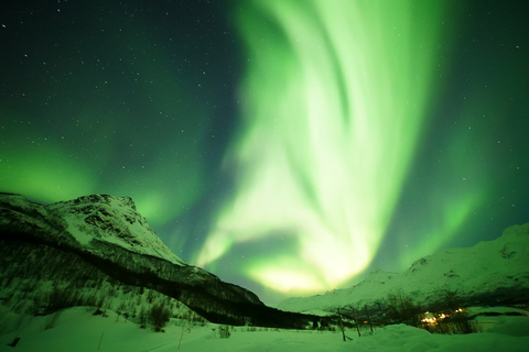 Tromsö: Norrskenstur med gratis professionellt porträttTromsø: Norrskenstur med gratis professionellt porträtt