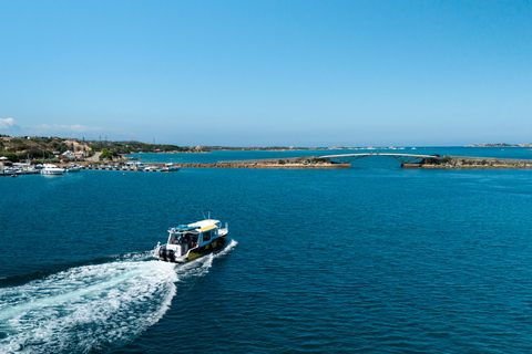 بورتو فيكيو: جولة بالقارب إلى أرخبيل مادالينا (سردينيا)