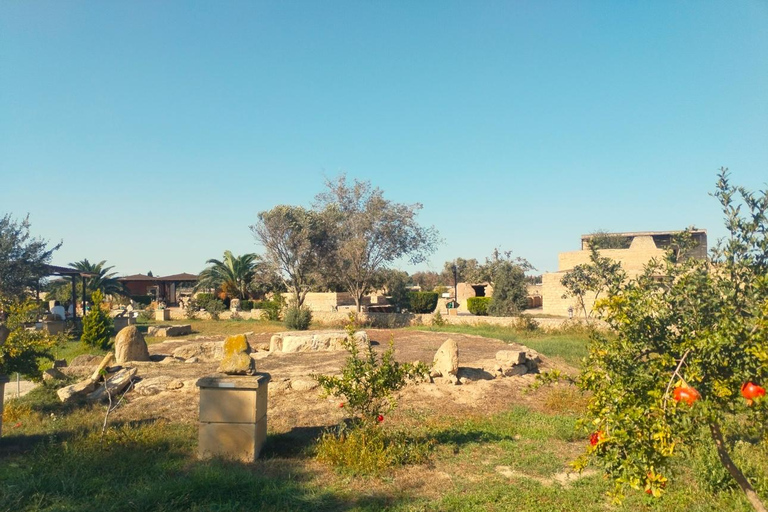 Full Day Archaeological and Ethnographical Private Baku