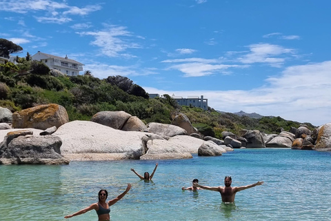 Luxury Cape of Good Hope & Penguin Tour