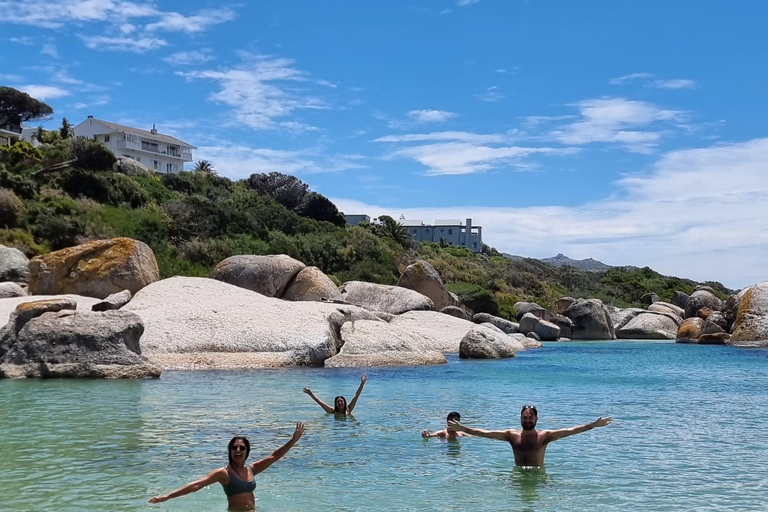 Luxury Cape of Good Hope & Penguin Tour