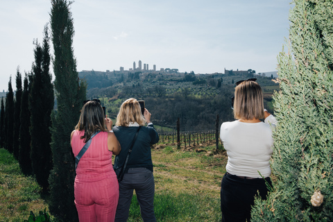 Florence: Expérience de Pise, Sienne, San Gimignano et ChiantiVisite privée avec guide, déjeuner, dégustation de vin et transferts