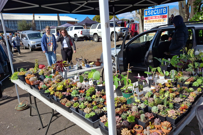 Auckland: mercati domenicali e passeggiata sul mareAuckland: mercati domenicali e passeggiate sul mare