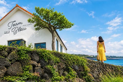 Jeju: UNESCO Southwest & East Highlights 2-Day Combo Tour - Image 2