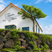 Jeju: UNESCO Southwest & East Highlights 2-Day Combo Tour