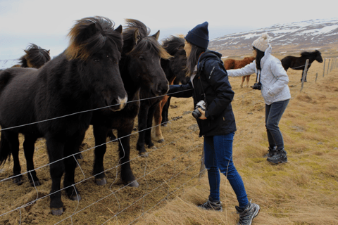 Reykjavik: excursão de 8 dias em pequenos grupos pelo Círculo da Islândia no verãoReykjavik: excursão de 8 dias para pequenos grupos ao Círculo da Islândia no verão