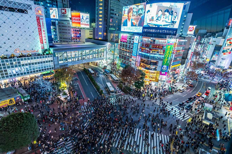 Tour privado de Tokio de día completo con conductor de habla inglesa