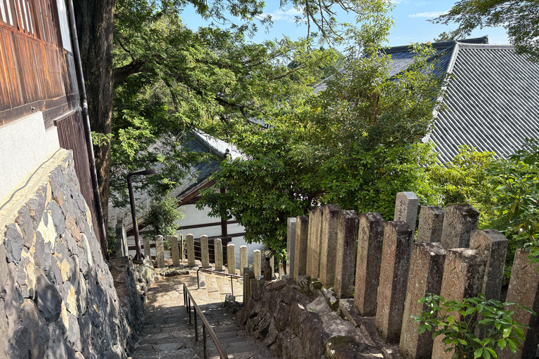 Nara: Guided Tour with Furoshiki Experience and Lunch 5.5h WITH Furoshiki Experience and Lunch