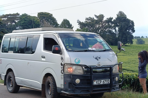Masai Mara from Nairobi Transfer