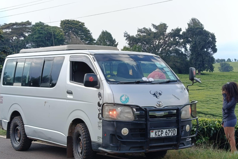Masai Mara from Nairobi Transfer