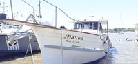 Expérience partagée de la visite en bateau - Colonia del Sacramento - Hizvo