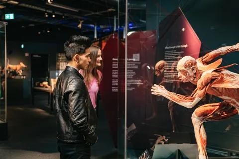 Tickets voor het BODY WORLDS Museum in Berlijn