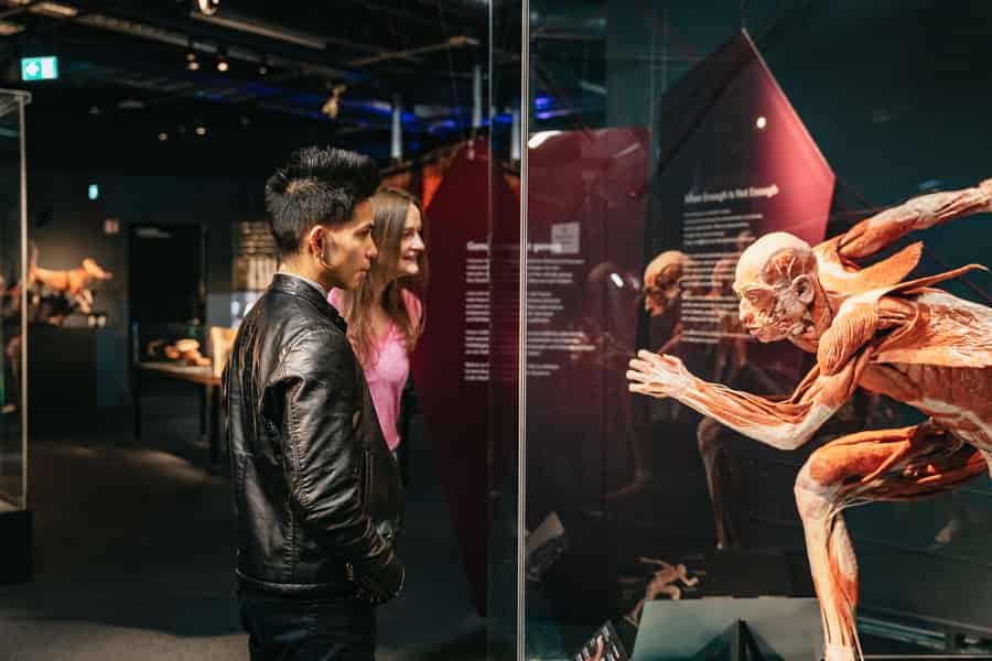 Berlin: Ticket für das KÖRPERWELTEN Museum