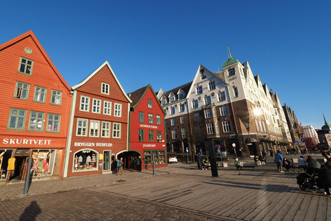 Bergen : Visite guidée en voiture avec le musée de la vieille ville de Bergen et Fantoft ...