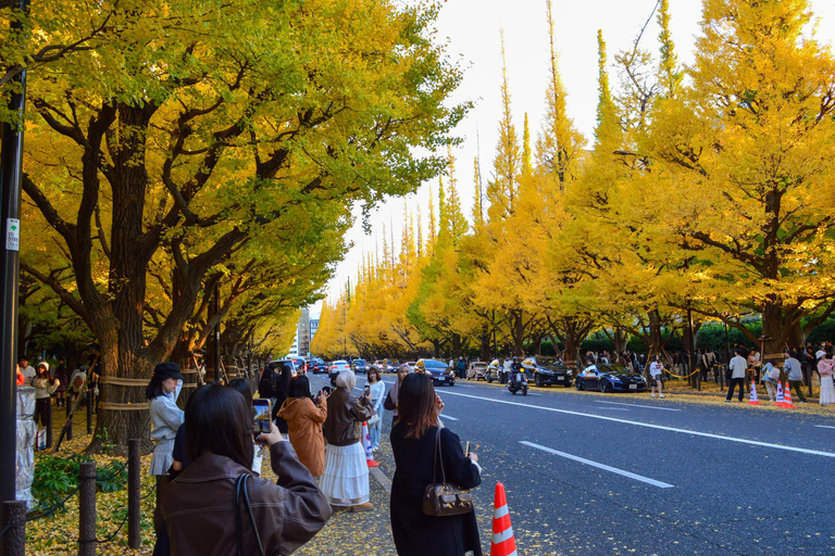 Tokyo: Golden Ginkgo Avenue Autumn Leaves Walk