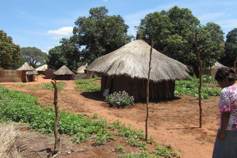 Livingstone: Passeio pela Vila Mukuni com Refeição TradicionalLivingstone: passeio pela aldeia de Mukuni com refeição tradicional