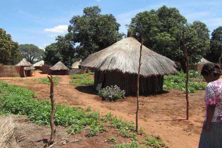 Livingstone: Passeio pela Vila Mukuni com Refeição TradicionalLivingstone: passeio pela aldeia de Mukuni com refeição tradicional