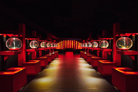 Tokyo: Art Aquarium Museum GINZA Entry Ticket