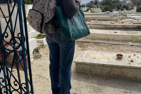 Carthage and Sidi Bou Said Tour Carthage and Sidi Bou Said Tour