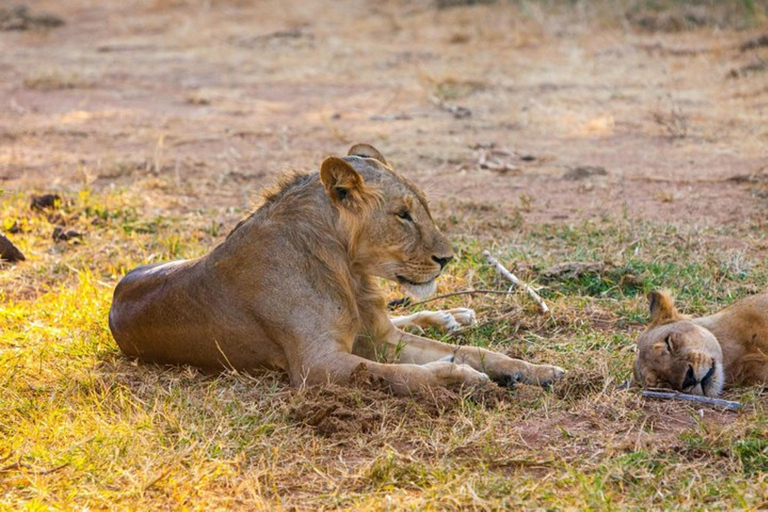 Da Nairobi: Safari di 3 giorni nella Riserva Nazionale di Samburu