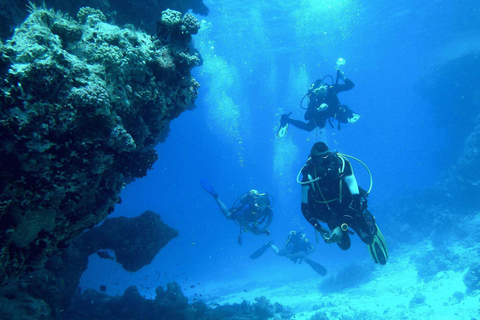 Marmaris: Beginner-Friendly Scuba Diving Tour & Lunch Scuba Diving With Hotel Transfer