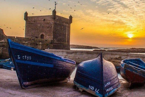 From marrakech: Explore Essaouira, Beaches & Local Culture