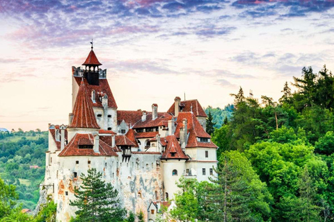From Bucharest: 7-Day Guided Tour of Romania