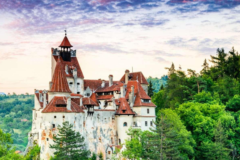 From Bucharest: 7-Day Guided Tour of Romania
