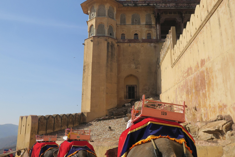 From Delhi: 2 Days Jaipur Overnight Tour Jaipur Private Overnight Tour with 4-star hotel