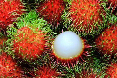 Zanzibar : Excursion en tandem en kayak transparent et dîner au Rock
