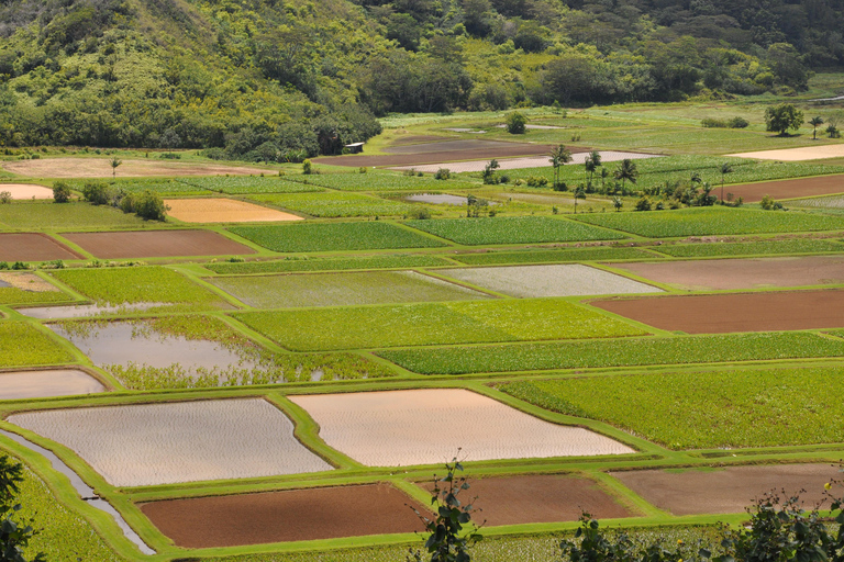 从欧胡岛出发：考艾岛精华游与电影取景地从欧胡岛出发可爱岛亮点和电影景点