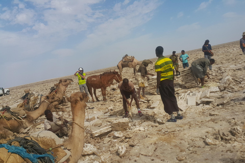 Ethiopia: 23-Day Grand Tour with Trekking & Camping