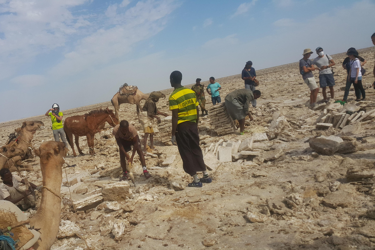 Ethiopia: 23-Day Grand Tour with Trekking & Camping