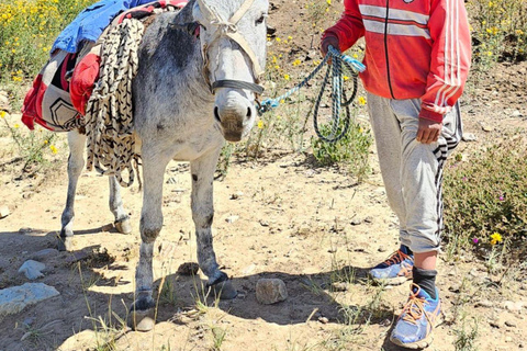 Salinas Grandes and Iruya: 3-Day Andean Adventure