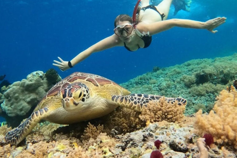 Gili Trawangan: Wyspa Gili 3 miejsca do snorkelingu z żółwiem