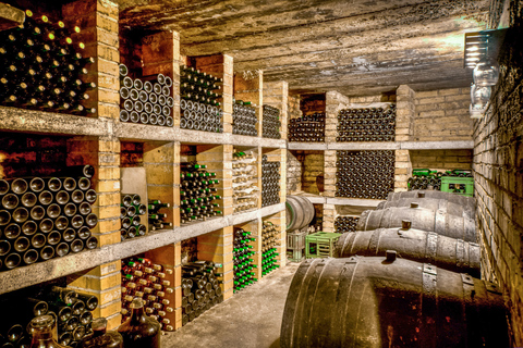 Do Porto: Vale do Douro com passeio de barco, degustação de vinhos e almoçoTour com serviço de busca no hotel e traslado ao ponto de encontro