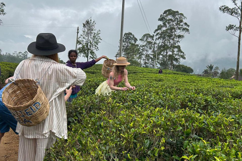 From Kandy to Nuwara Eliya & Moon Plains – Tuk‑Tuk Day Tour From Kandy: Moon Plains Highlands Viewpoint Experience