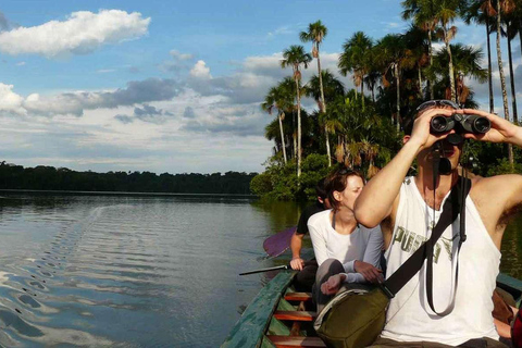 Puerto Maldonado: Reserva Nacional de Tambopata 4-Dagen