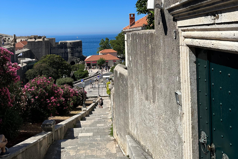 من تيرانا/دوريس: رحلة ليوم واحد إلى ساحل الجبل الأسود ودوبروفنيك