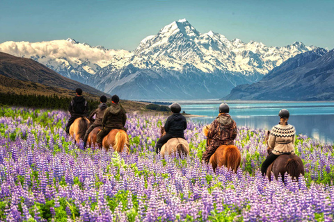 (MT) Mount Cook & Lake Tekapo dagtocht vanuit ChristchurchVanuit Christchurch: Mount Cook hoogtepunten busreis