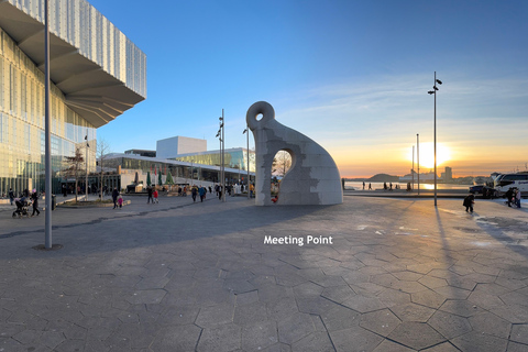 Oslo Christmas City Walking Tour with company founder Oslo in der Weihnachtszeit, 2 Std. 15 Min., auf Deutsch